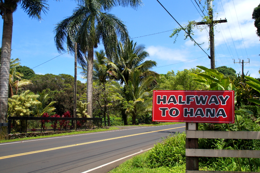 Halfway to Hana Maui