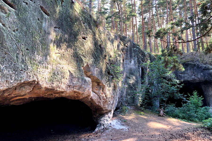 Harz entdecken: Sandhöhlen im Heers Harz