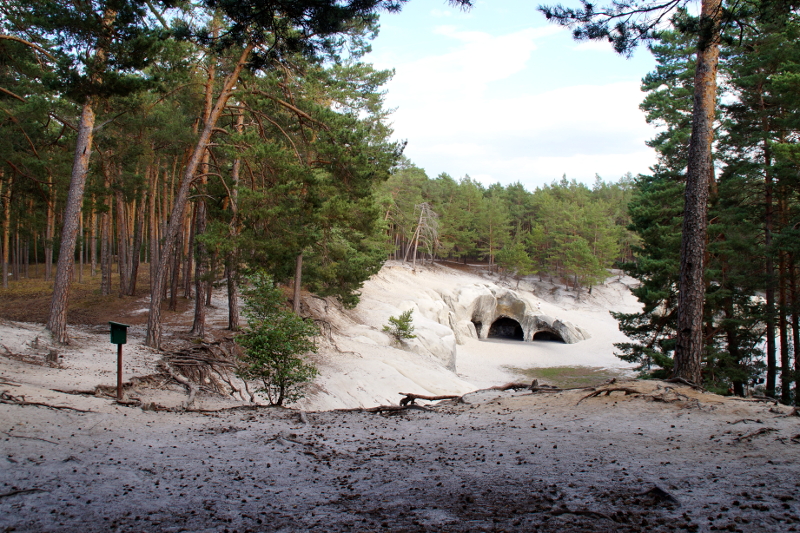 Harz entdecken: Sandhöhlen im Heers im Harz