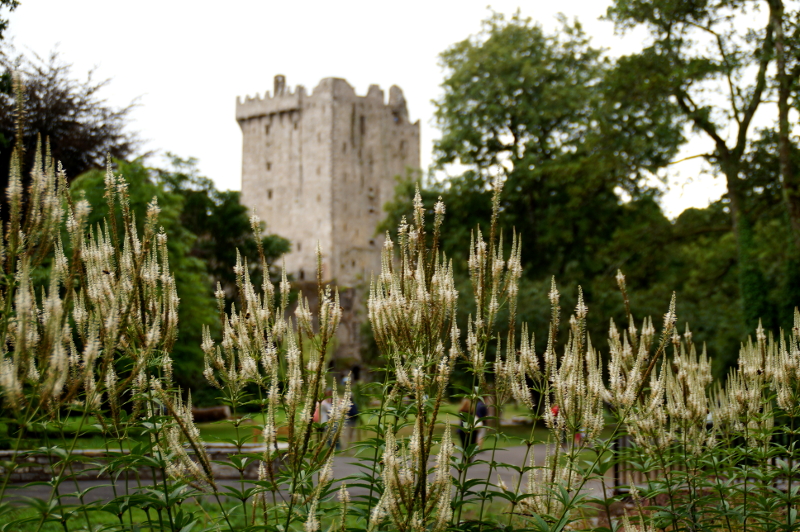 Burgen und Burgruinen in Südirland
