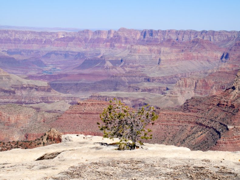 Die besten Aussichtspunkte im Grand-Canyon-National-Park