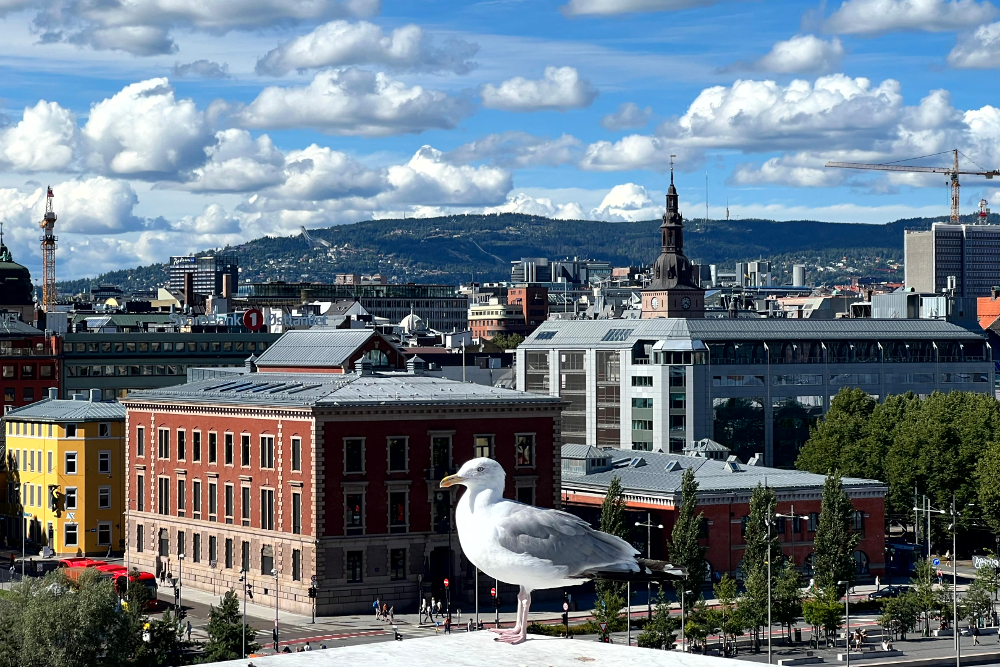 Oslo Städtereise