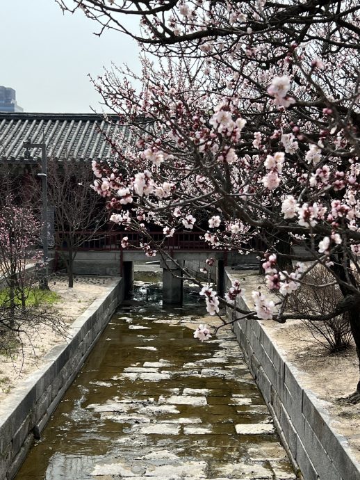 Seoul Reisetipps: Gyeongbokgung Palast