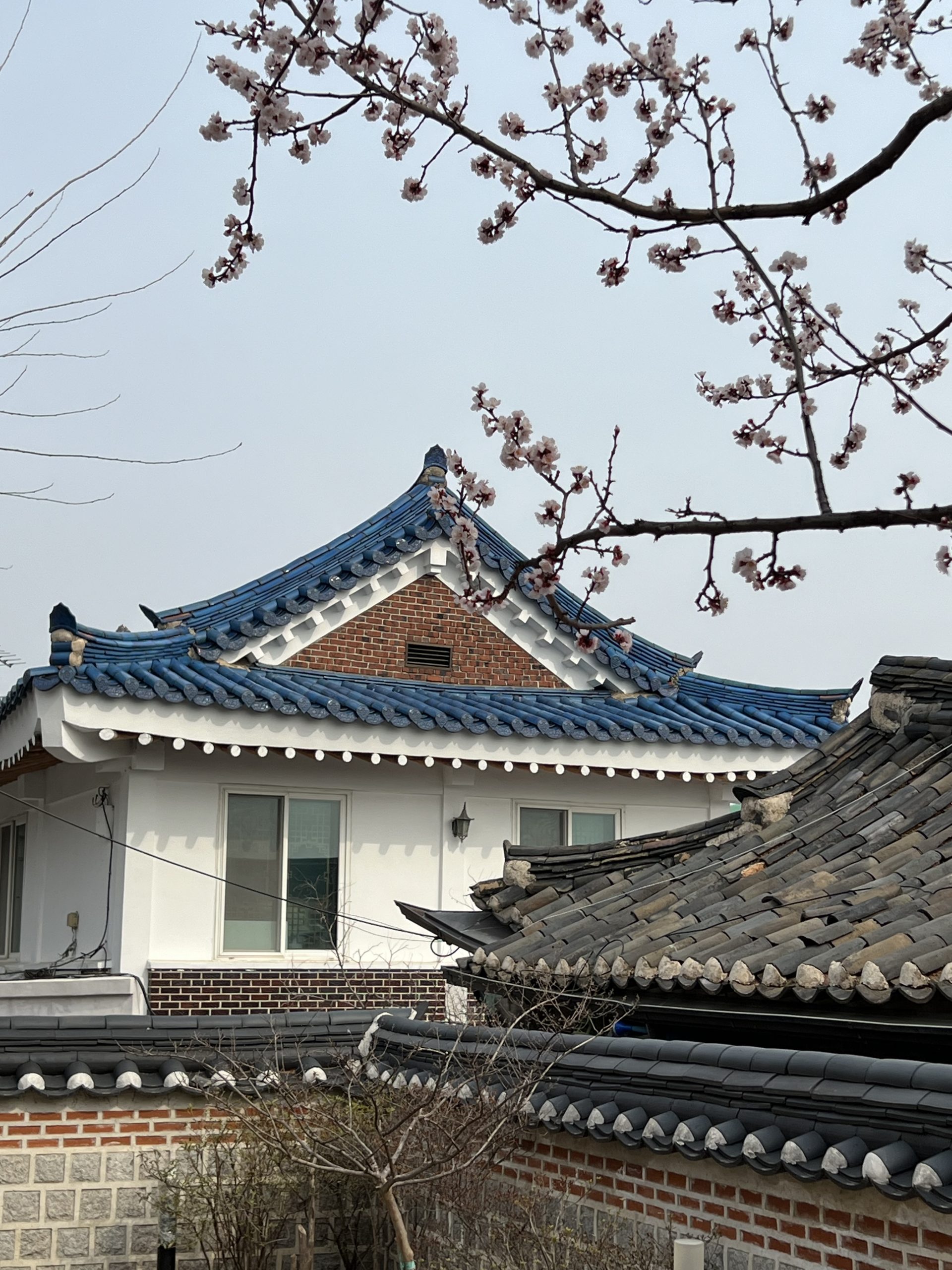Reisetipps Seoul: Bukchon Hanok Village