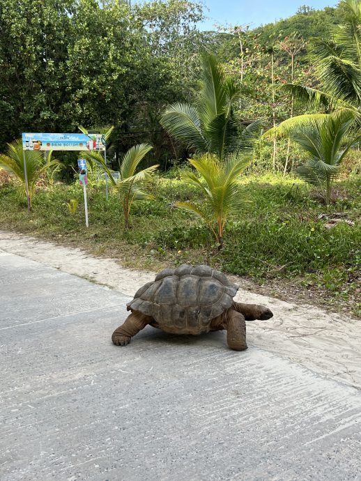Seychellen Urlaub: Anse Severe