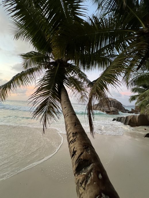 Seychellen Urlaub
