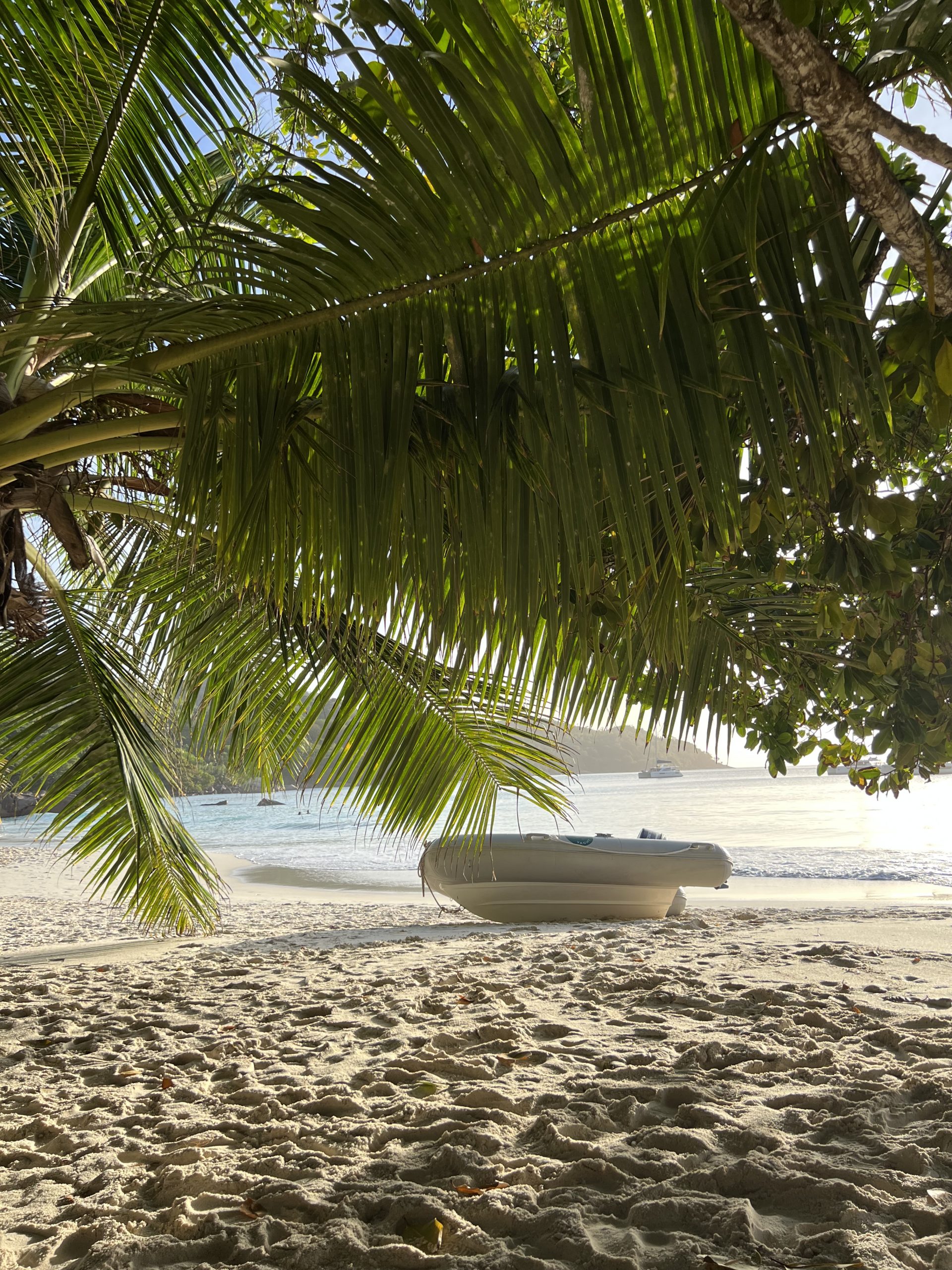 Seychellen Urlaub: Praslin
