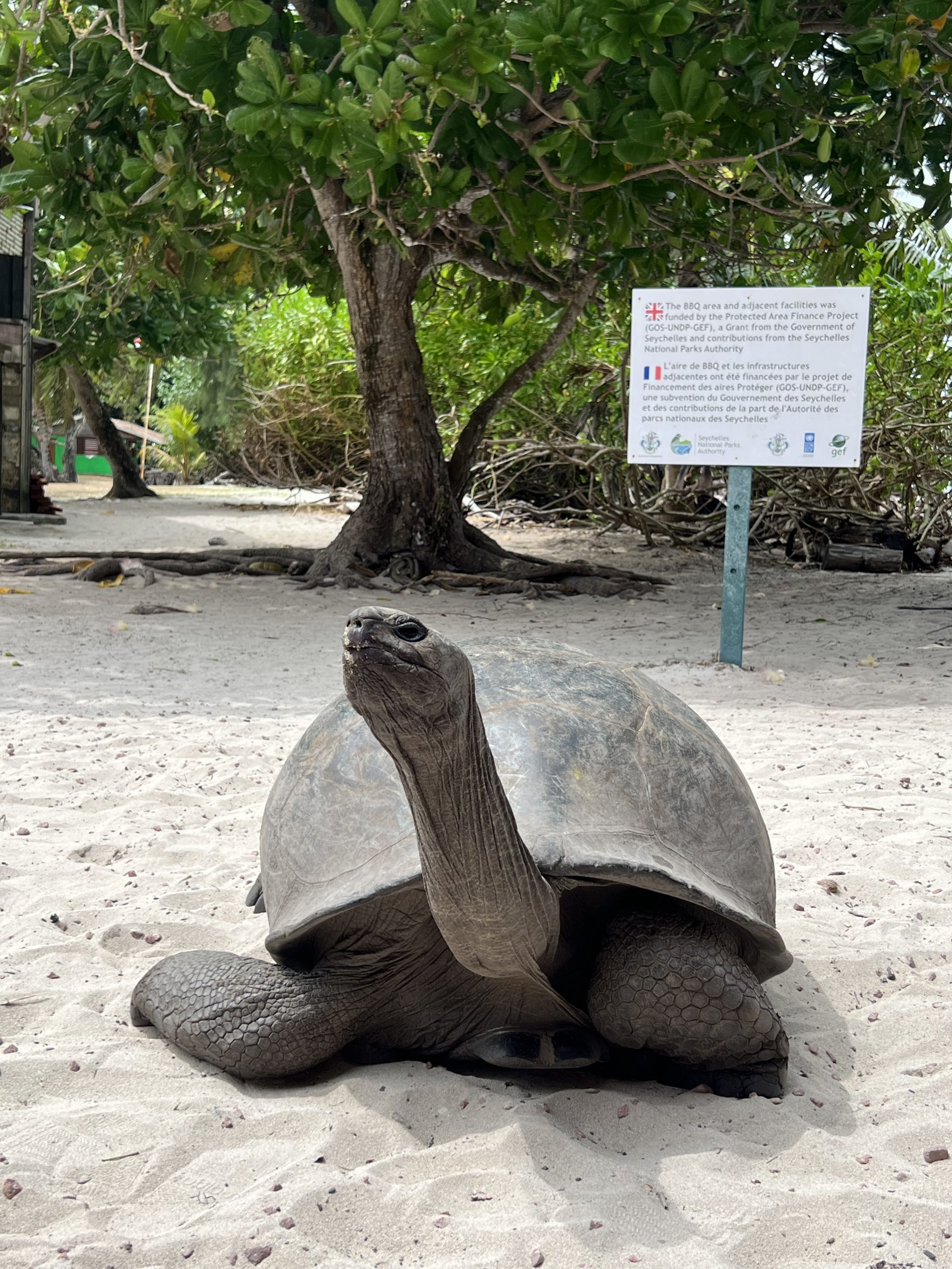Seychellen Urlaub