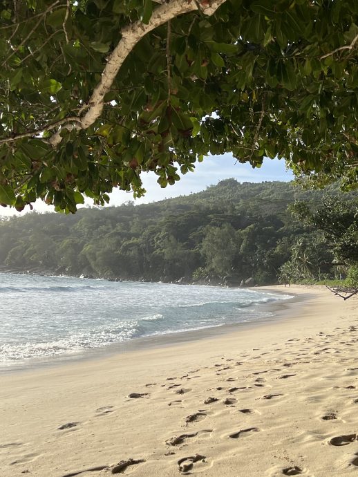 Seychellen Urlaub: Mahé