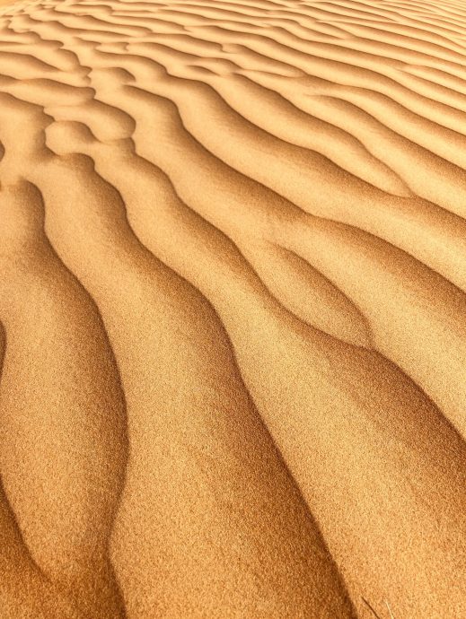 Oman Rundreise Wahiba Sands