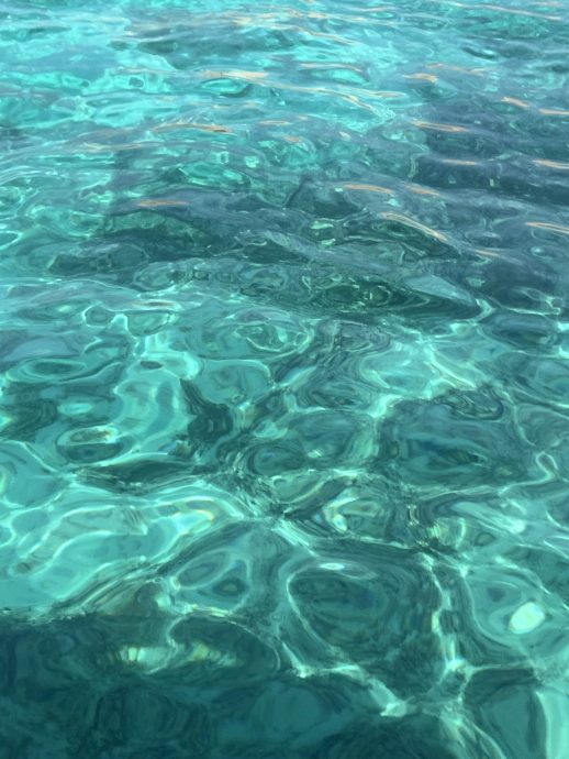 Oman Rundreise Dimaniyat Inseln