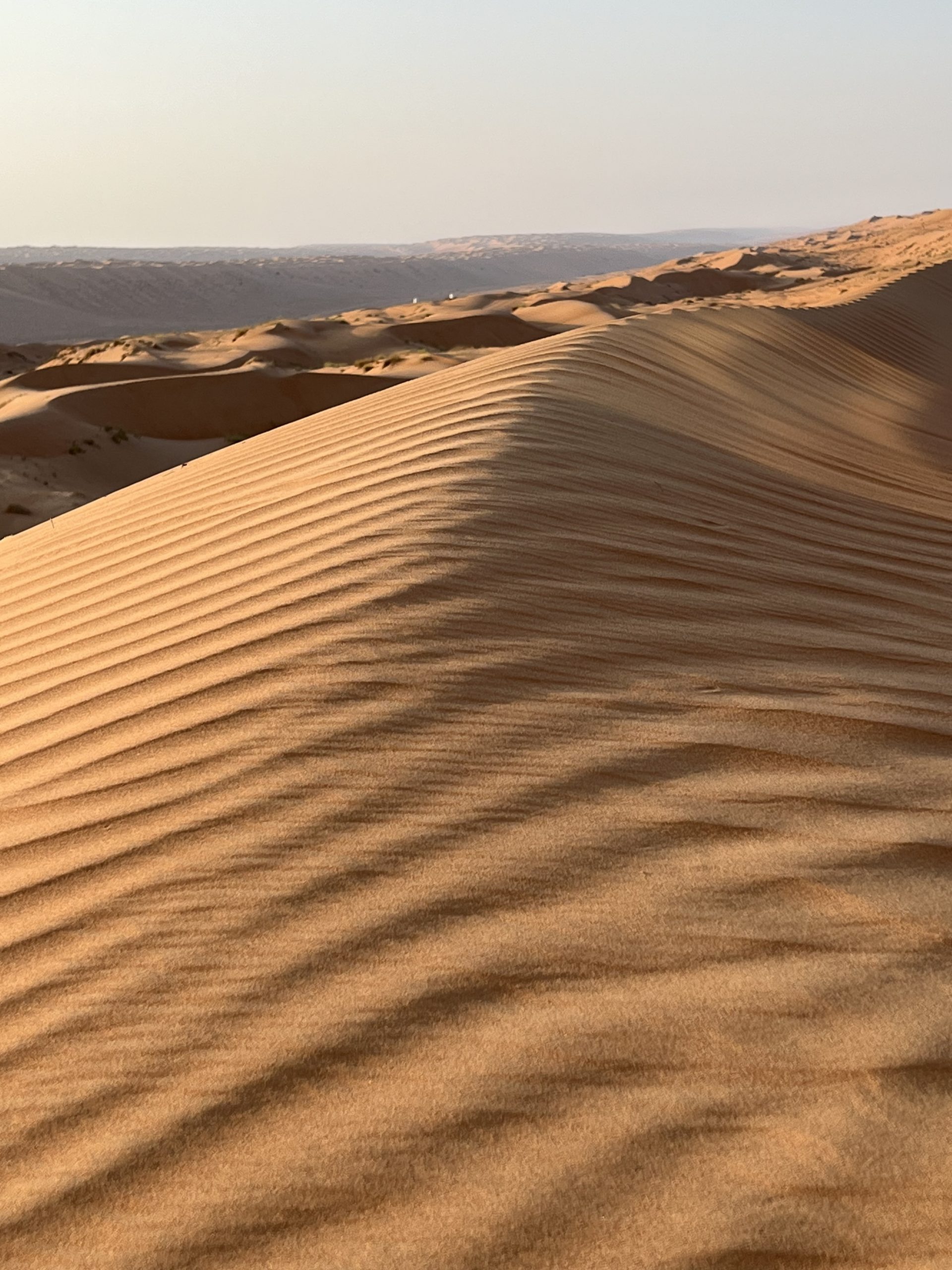 Oman Rundreise Wahiba Sands