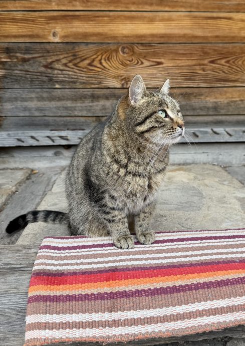 Bosnien-Herzegowina Urlaub