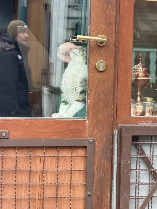 Bosnien-Herzegowina Urlaub