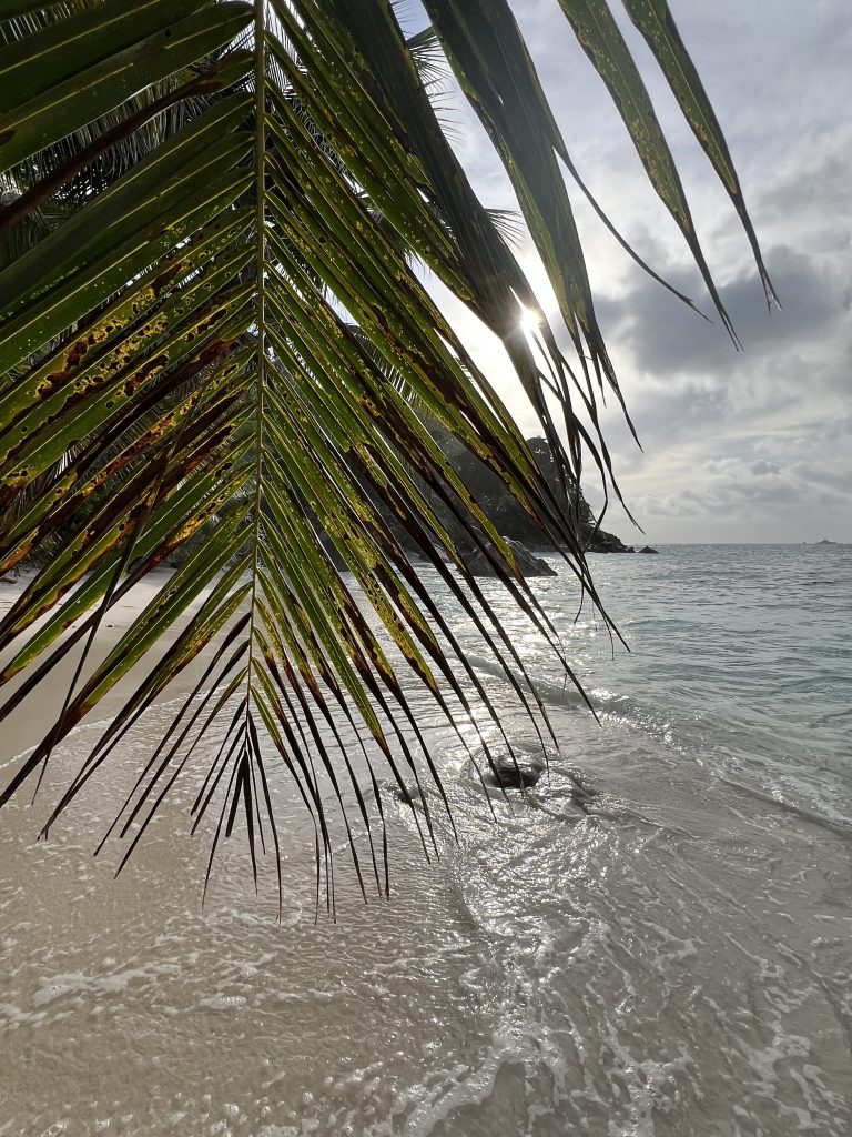 La Digue mit dem Fahrrad