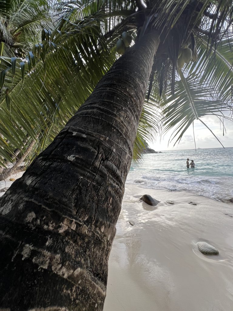 La Digue mit dem Fahrrad