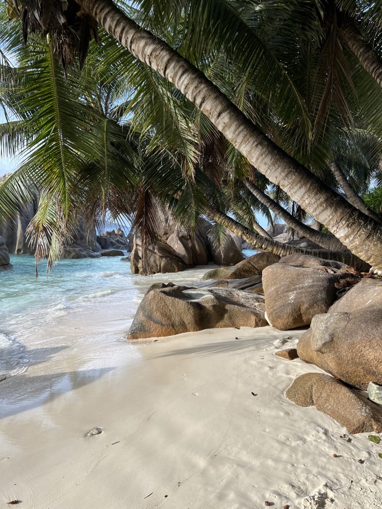 La Digue mit dem Fahrrad