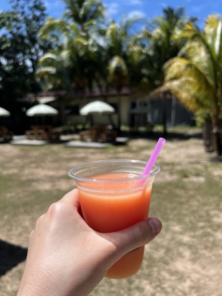 La Digue mit dem Fahrrad