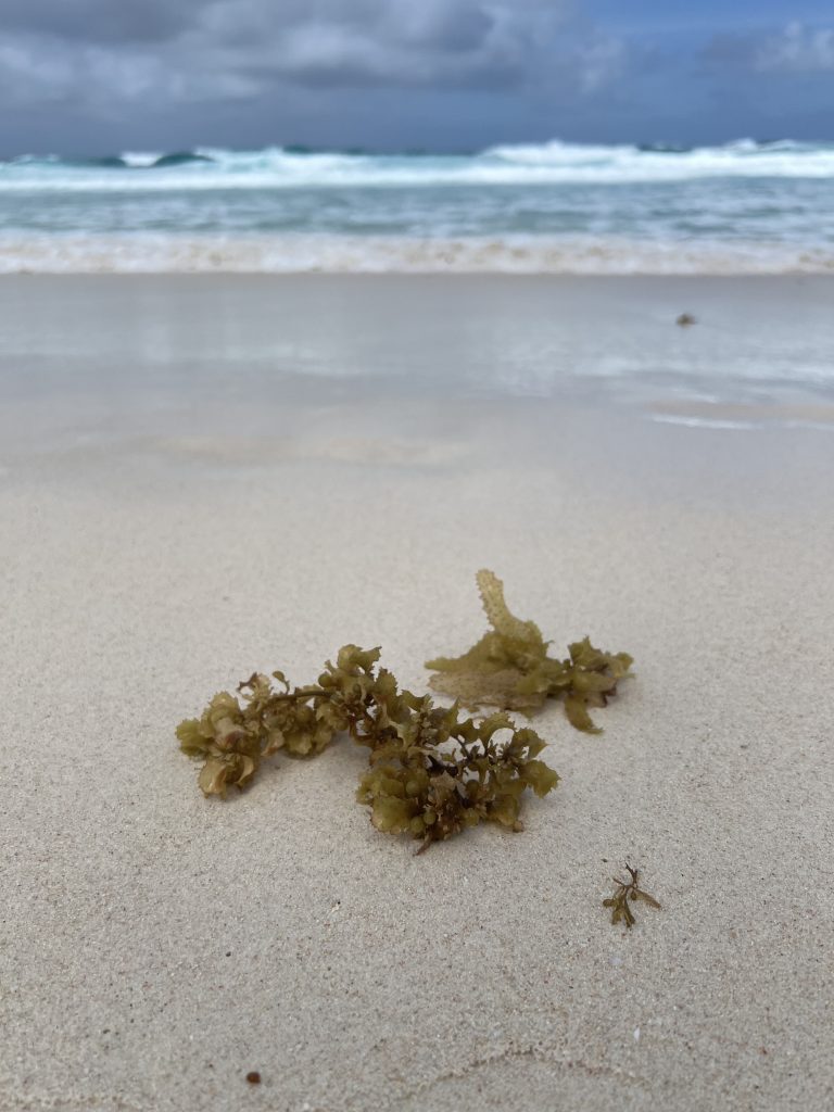 La Digue mit dem Fahrrad