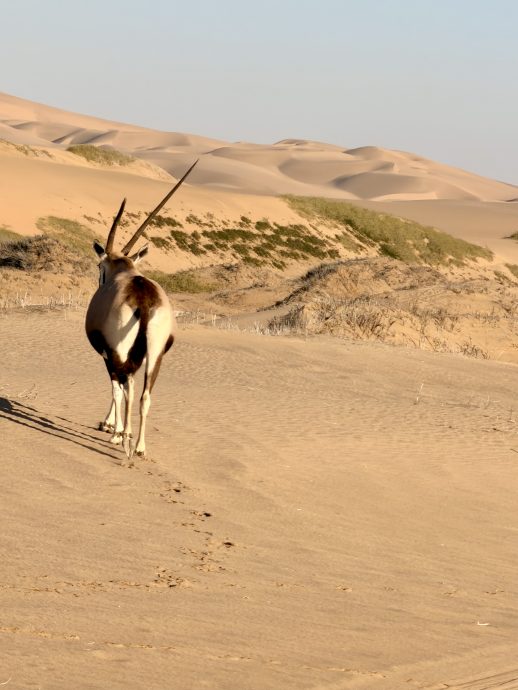 Namibia Rundreise Walvis Bay