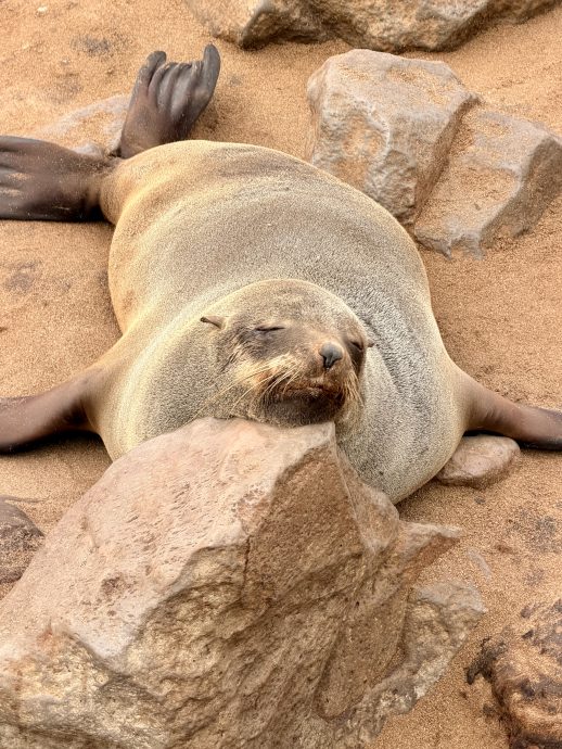 Namibia Rundreise Cape Cross