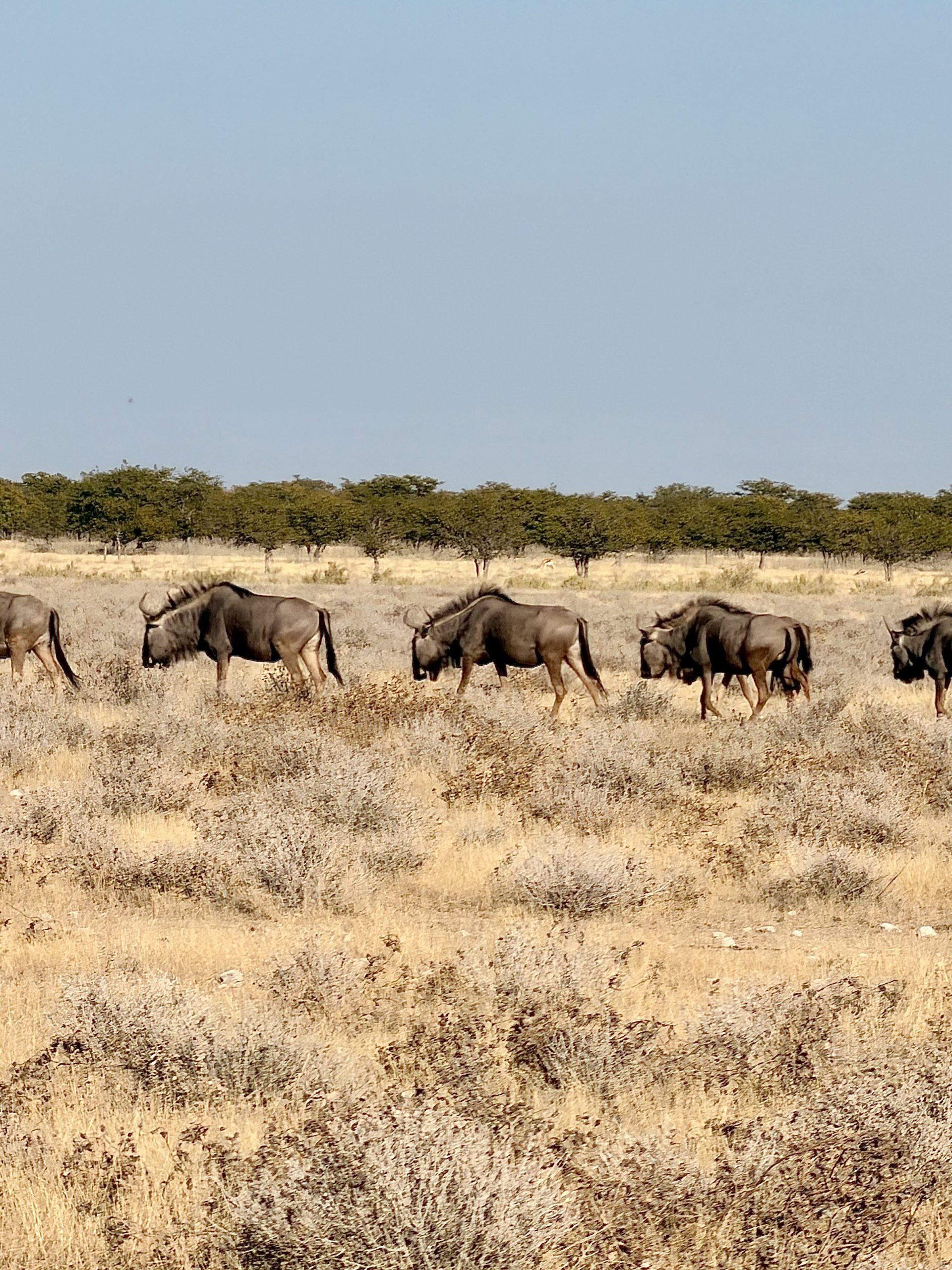 Namibia Rundreise
