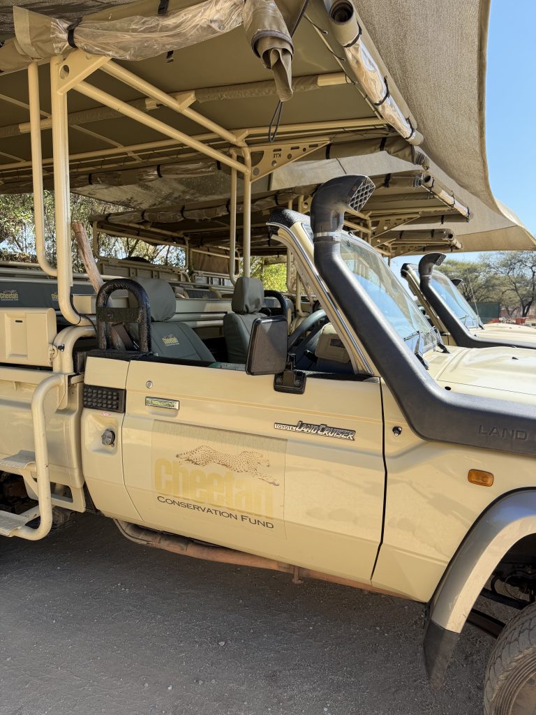 Namibia Rundreise Cheetah Conservation Fund