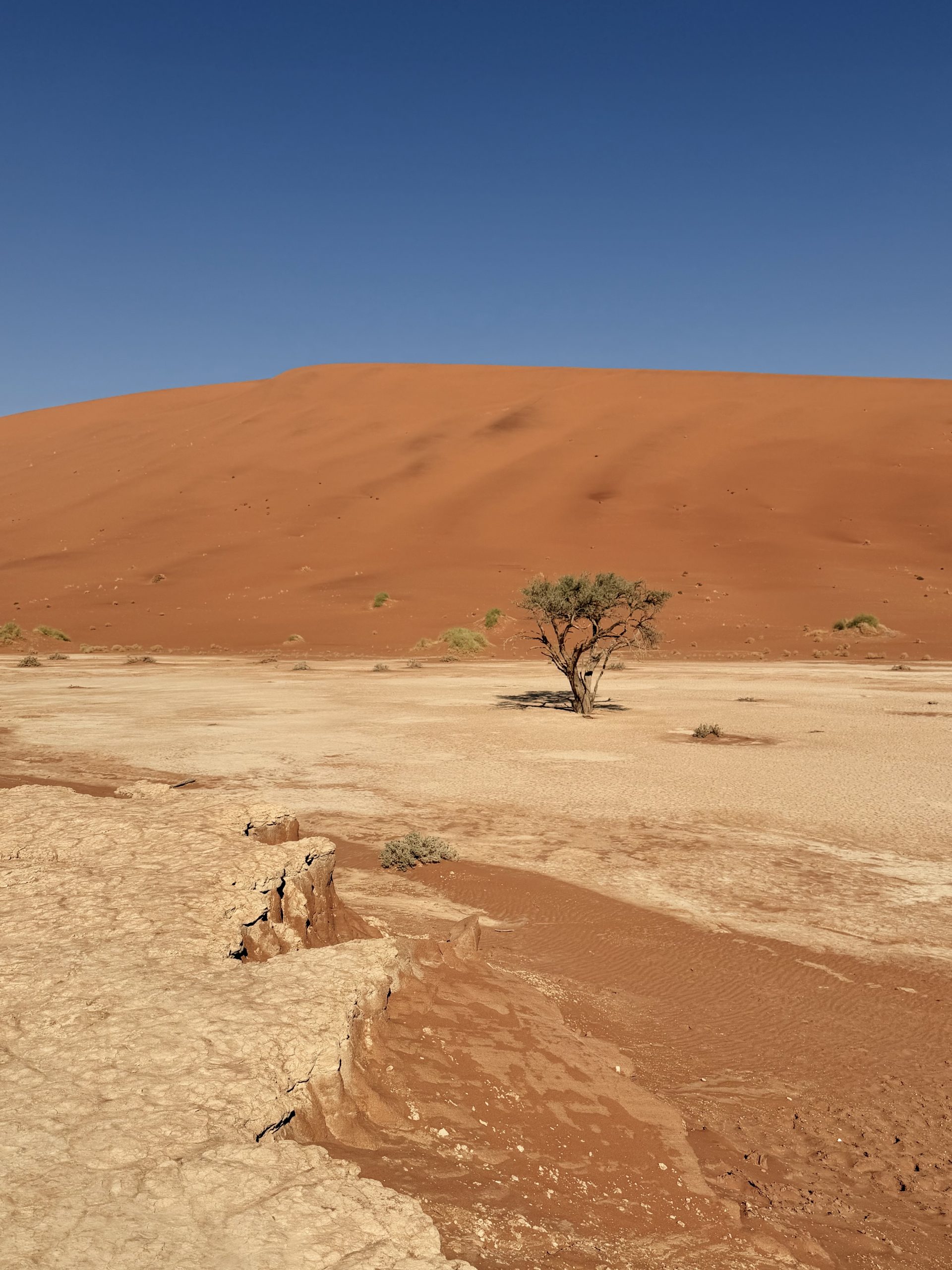 Namibia Rundreise Sossusvlei