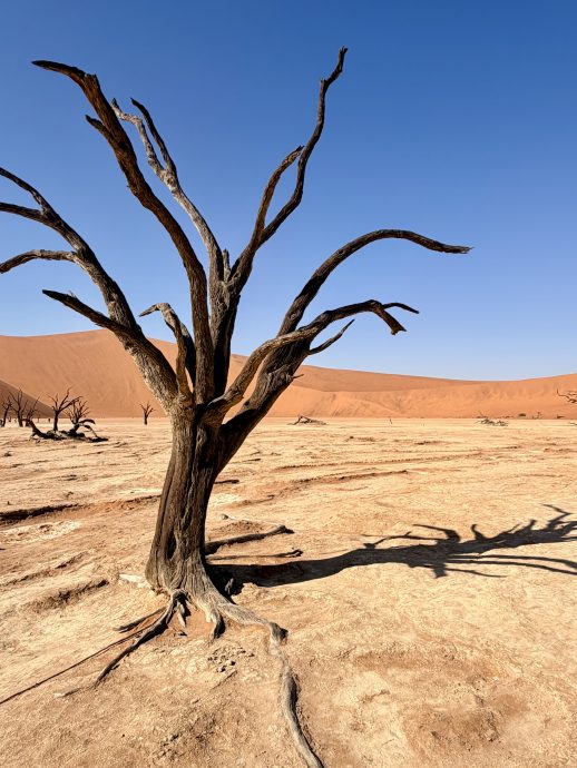 Namibia Rundreise Deadvlei
