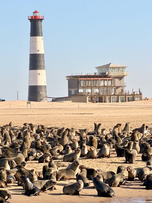 Namibia Rundreise Walvis Bay