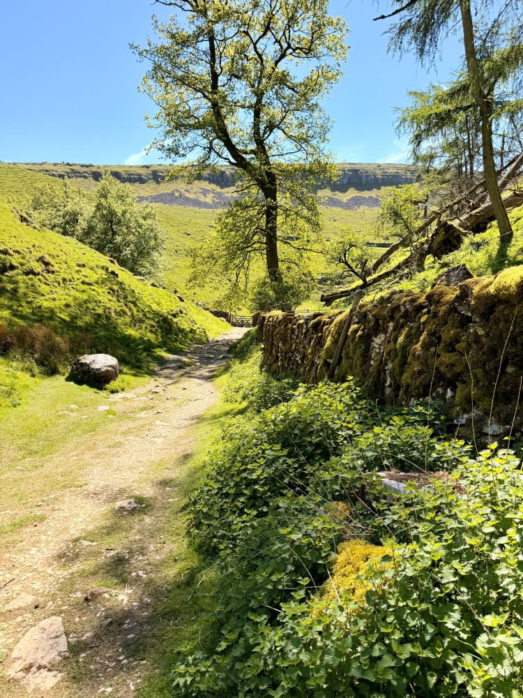 Yorkshire Dales