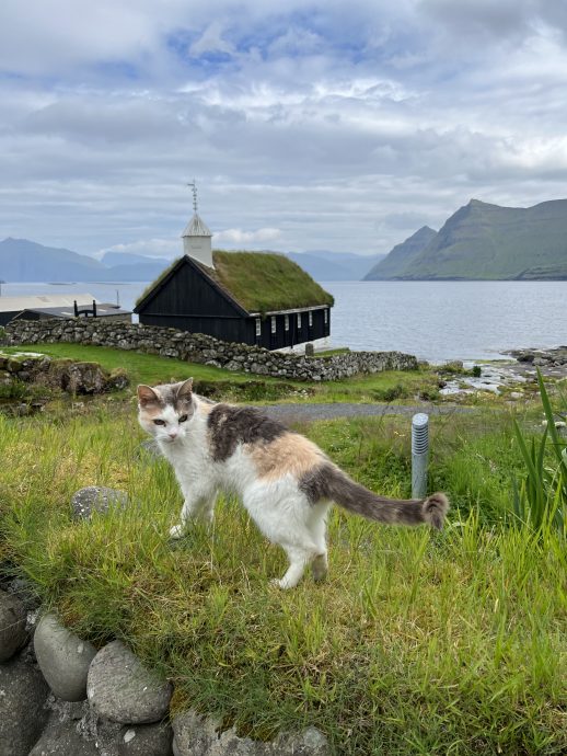 Färöer Inseln Urlaub Funnings Kirkja